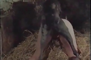 brazil zoo porn videos