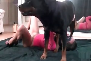 very young girls porn with animals videos