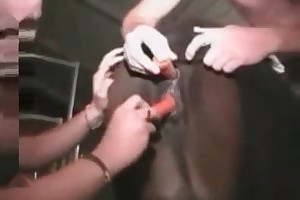 dog bestiality blogs porn videos