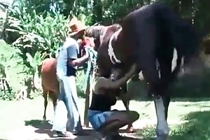 ANIMALBIZARREZOOFILIA