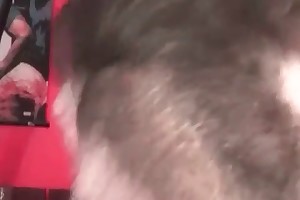 animal anime sex porn movies