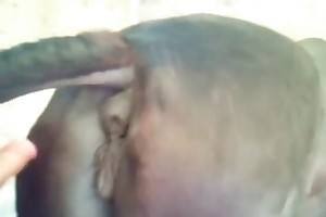 video sharing community bestiality free porn