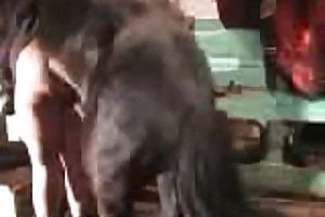 zoovtube animal sex free porn