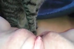 kristy dog beastiality free porn
