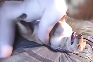 free xxx forced beastiality