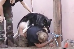 beast sex usa porn videos
