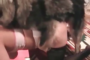 real stories about having sex with animals porn videos
