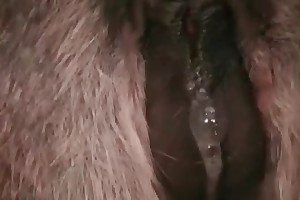 young zoo porn