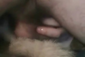 sexual contact with animals and humans movies