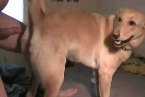 free animal sex films movies