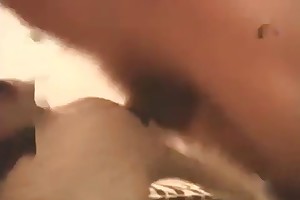 animal with girls porn videos