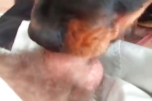free beastility sex movies