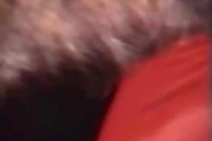 latin loves dog cum videos