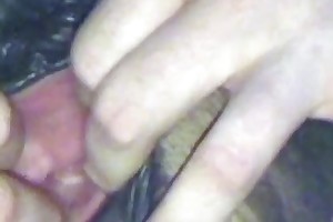 gay bestiality cartoon porn videos