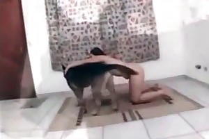 animals with asexual reproduction porn videos