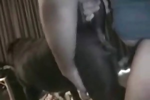 free animal sexvideos porn movies