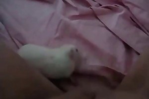 animal sex animations movies