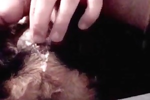 exstream animalsex.nl