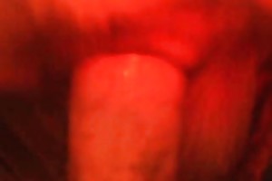 watch animals having sex free porn
