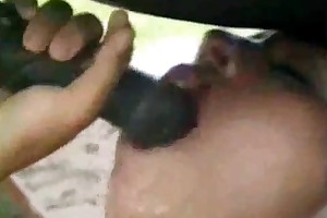 shaved pussy fuck by horse