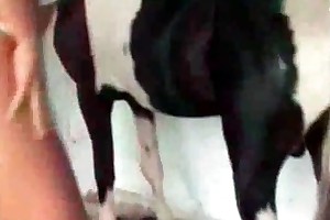 sexygirls animals videos