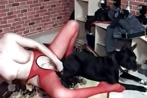 animal amateur sex videos movies