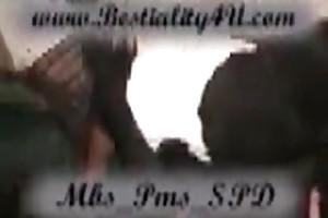 farm animals free sex vids
