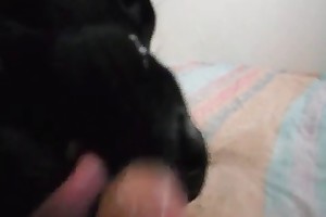free animal zoo porn tubes videos