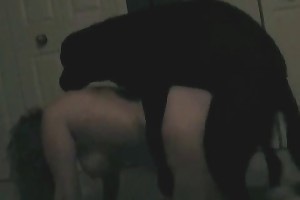 bestialitycontent free porn