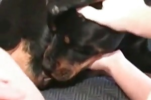 beastiality pig sex movies