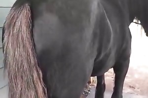 superbeast girl on porn movies