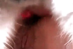 sex with animals vedio porn videos