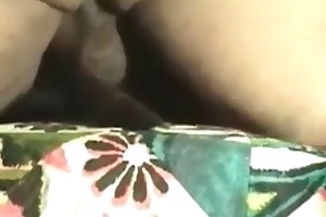 animalsexmovie blogspot videos
