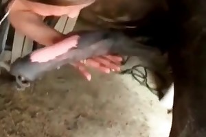 sex with big animals porn movies