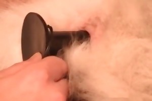 beastiality sex forum videos
