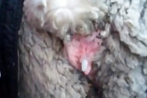 girls havin sex with animals