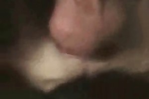 animalsex vidoes