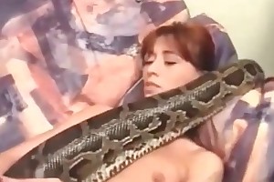 i married a sex beast movies
