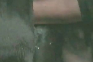 oral sex animals porn videos