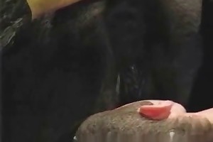 beasteality sex stories videos