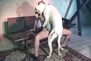 beast brazil hardcore sex porn videos