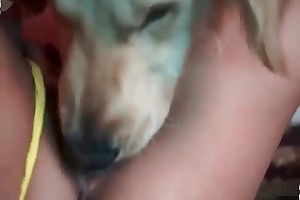 young girls first time beastiality porn videos