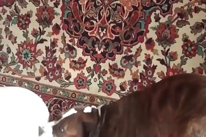 bestiality bookmarks videos