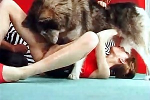 beastiality girl movies