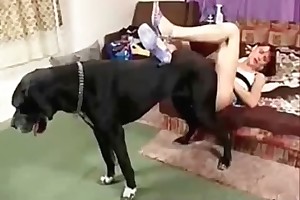 sussex wi animal hospital free porn
