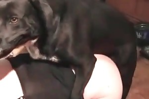 animalsex dk movies