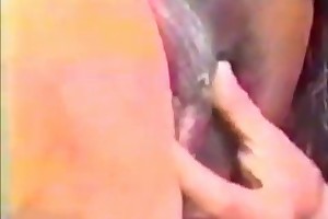 men and animals having sex free porn