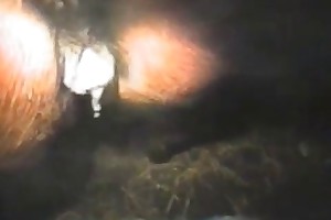 sexygirls with animals porn videos