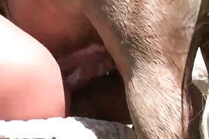 sex with animals story movies