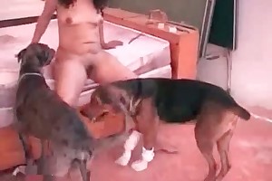 free bestiality mpegs samples videos